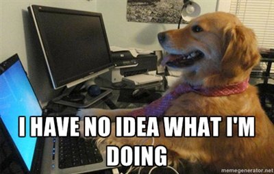 Dog on computer with message 'I don't know what I am doing'