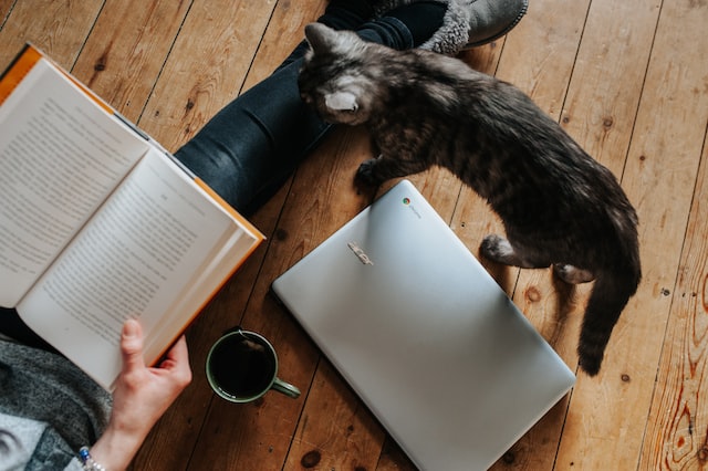 Person reading a book with a cat and coffee next to them