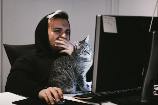 Cat with man on the computer by GA