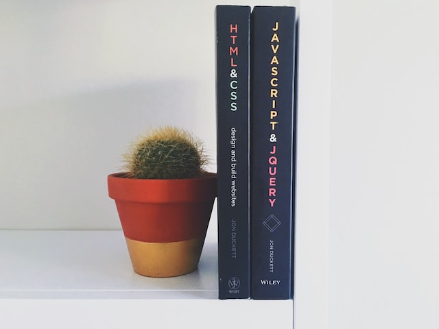 Cactus with JavaScript and CSS books