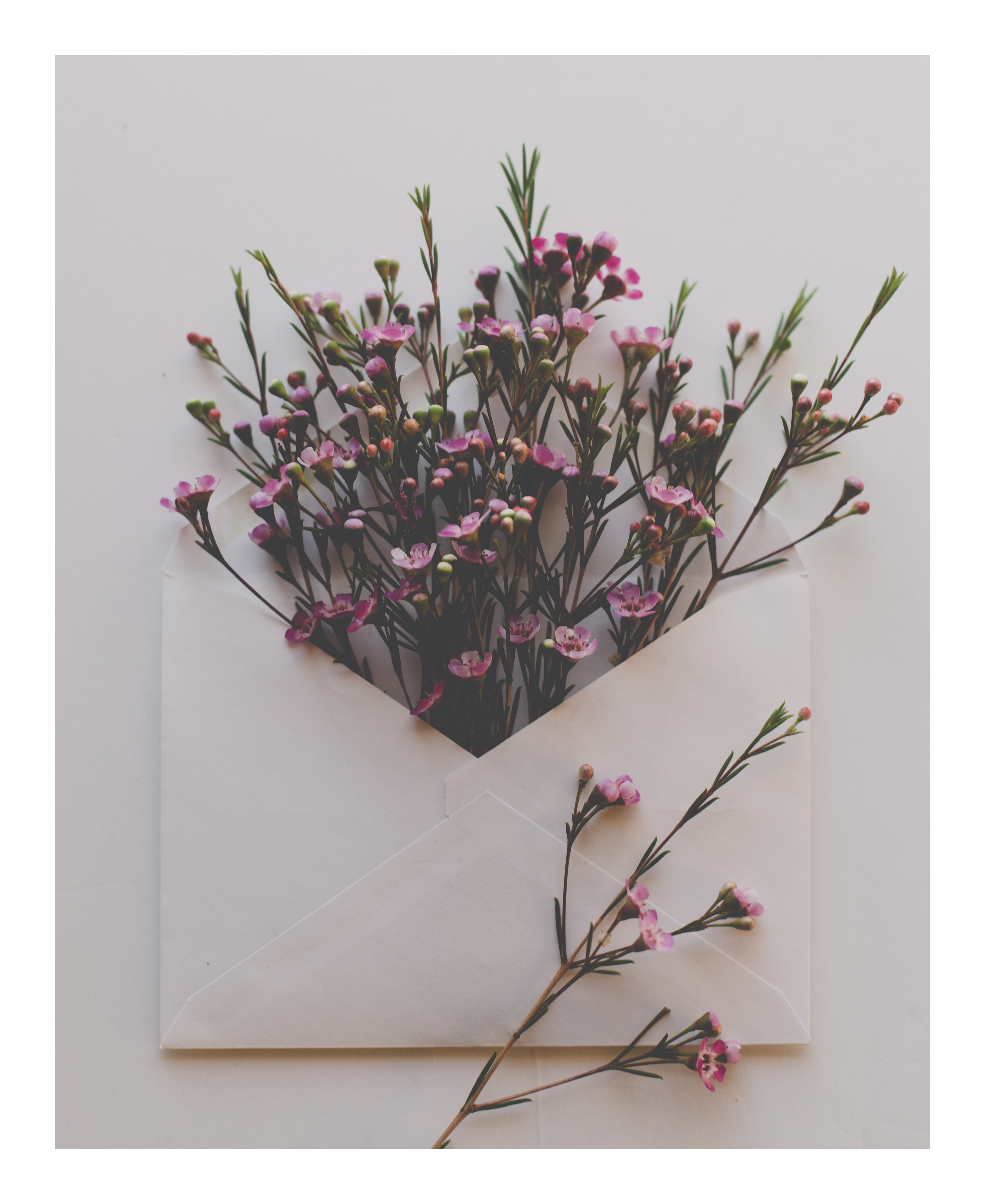 Envelope with flowers by Sixteen Miles Out